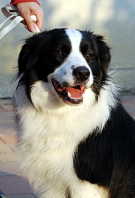 8157659 a793349bdf39e65c8344dd3b042f1fac m