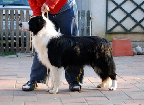 8157661 d347b27293beb503c248d960e973ce20 l