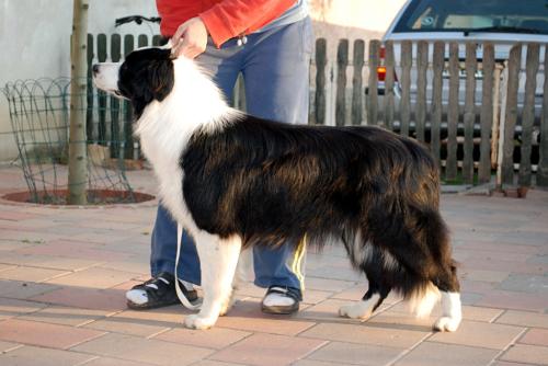 8157665 35e693b76170c0b4d20788283827f6da xl