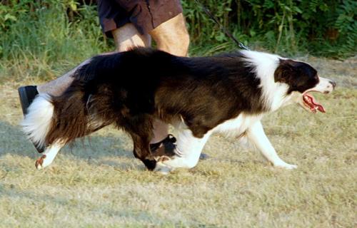 8718413 f534559c04d4849afbec36038d06aae4 l