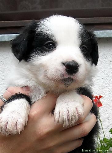 7101263 af733caa82cd8bc2e49e68ed0094ab87 xl