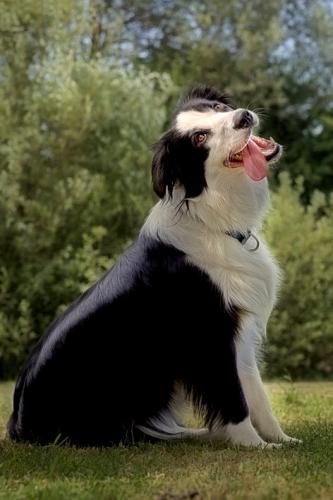 8718159 9a65de6cb2568c7fcb933cd4db6cab13 l