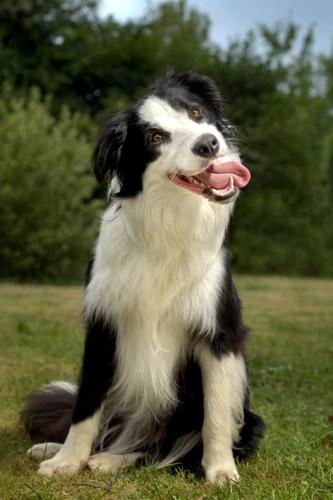 8718167 3cf0f1adfa3a846b74b18eae1b56d9bb l