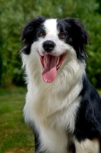 8718169 a64ecfa3cc288d7de9124bb83a852dc4 l