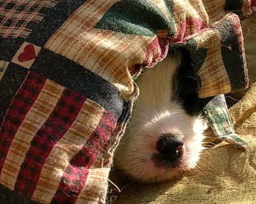 12386763 862664254ed1e000d5aeaee908087bd1 l