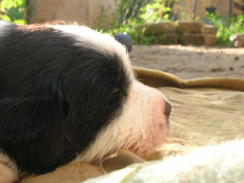 12386765 97129a918a9457ca5bd62b7892c64635 xl