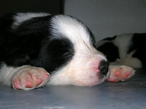 12386767 56063f1014f3e63783e1df09aa036e9f xl