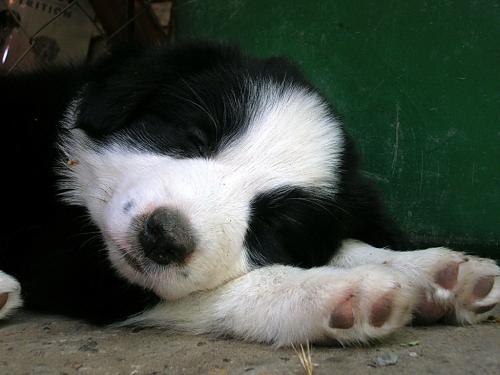 12386771 df593bfa043b2cdc224e679ea56e23e0 xl