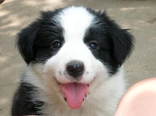 12386775 f7b0a1c00dc1f3441bbe62d413b235e4 xl