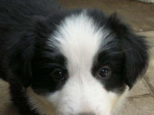 12386777 381b750507638f4cc4f03c9e7a6833bd xl