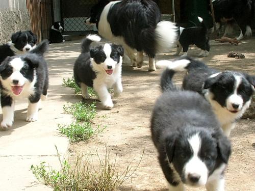 12386779 50c6a0c00e09632509ae2f239ffd6811 xl