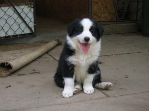 12386781 c11a27f9285897a636ddf4b8003e506a xl