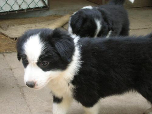 12386785 5493d562e604a9dd81b94b2ad1acd350 xl