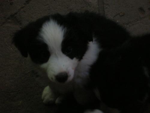 12386787 c47698d6541b9dea4fd2db6e283b2298 xl