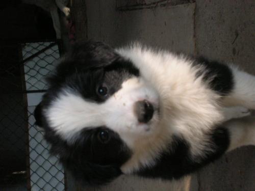 12386789 b7015c55084e156273b7c72325555b1d xl