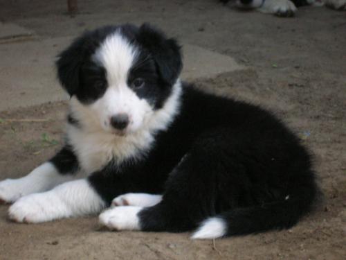 12386793 92a1e93a64ac68f34a3feaf7ff411356 xl