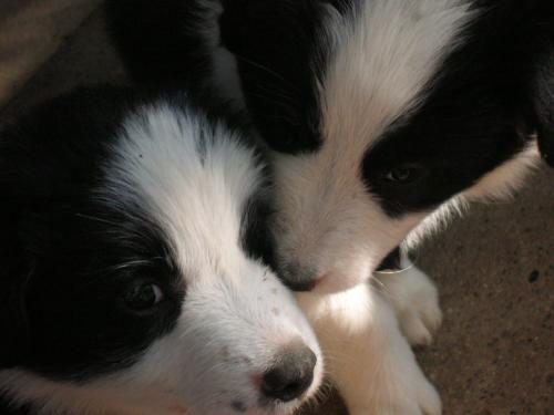 12386795 f9f241a953b4f135ee92f828d38744c7 xl