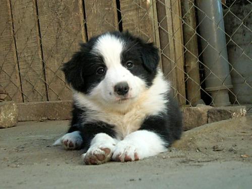 12386799 1e1e8dc5f8abb85955753e5c4e7f4cd6 l