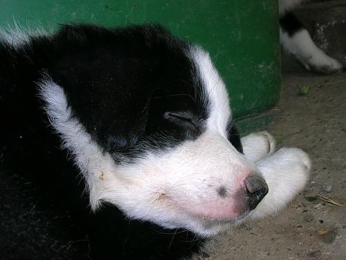 12386801 bc5836b01f901875bac708361f252923 xl