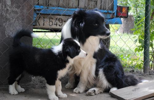 12386803 76e895f5b7a1be6c5fc9c3fbc948fded xl