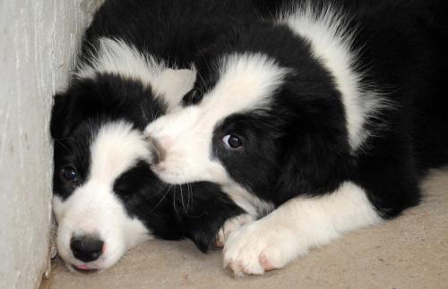 12386805 6520da51d1573ab754ef755e00d7c9e8 xl