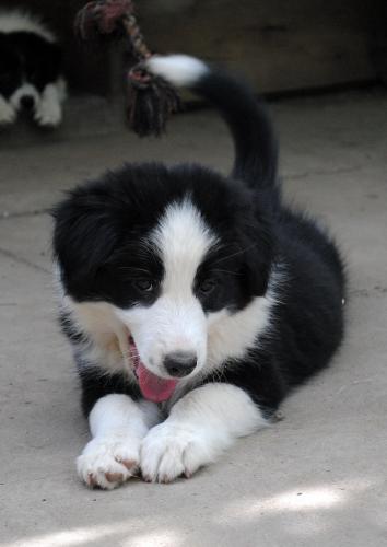 12386807 d726658903aeb3fb627017ecc582023f xl