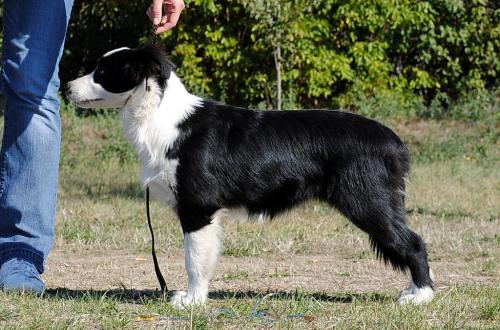 13730125 a059da5782bebc30d0a266185890be1d xl