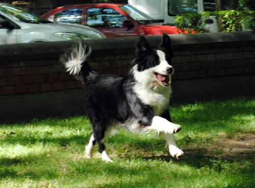 15789367 e31241e4b115f6a95dcb07f111180b64 xl