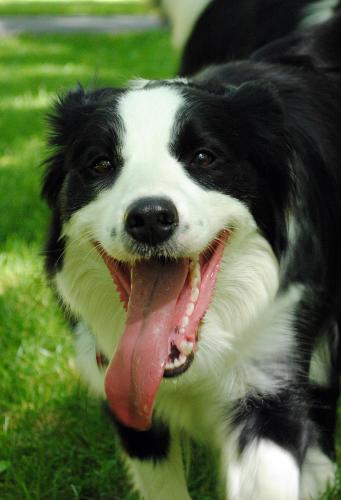 15789371 e9c159162ebac6a63e25bec0dac84cba xl