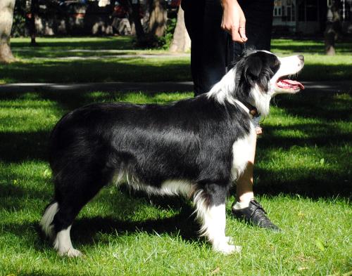 15789379 735ef689573db8ef4b805a9de47bb620 xl