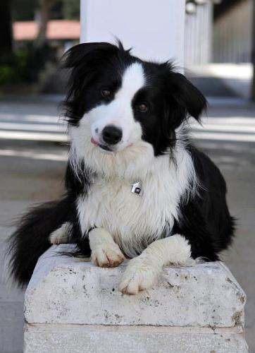 22149821 f6b434815567a19f5d91574ff493c387 l