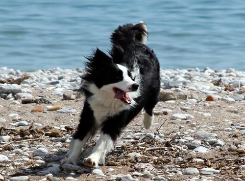 22149823 c70c0ff165515bbf5df2c62f9a73eb29 l