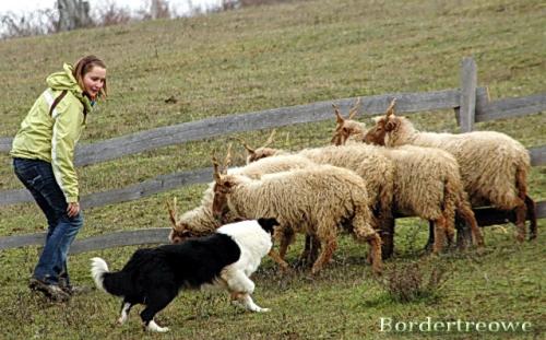 6976925 5820650b62c8c7f55bed09e9d16407ac l