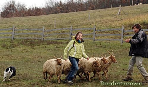 6976931 c01e3c02f8fbdacdcf4884e54b185988 l