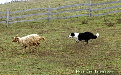 6976933 79e88648f74c169bbccb9c0f59e8c72f m