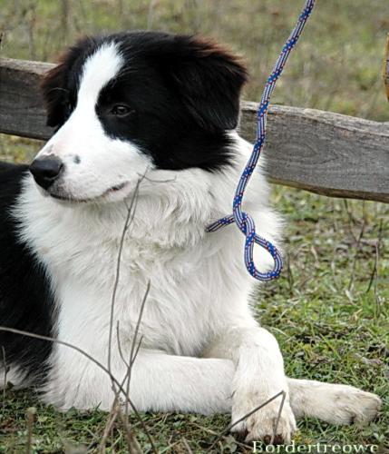 6976935 d96d1b955e921ae74a0b7fb1dfc2d1c1 l