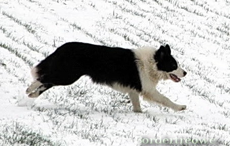 6976961 635ab2ec2b23f0800904ff2bae0b707f m