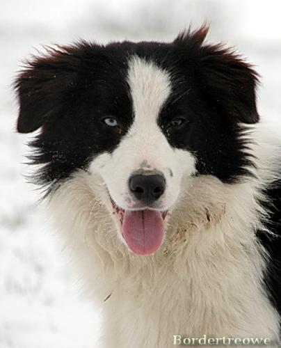 6976963 ed472d25a25de29bf1fa3548c5e336c4 l