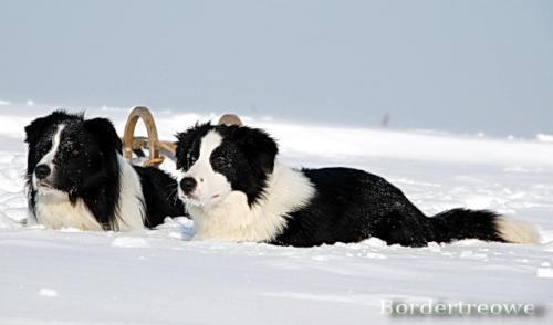 6976977 da2d63570162571dd54529e80d698490 l