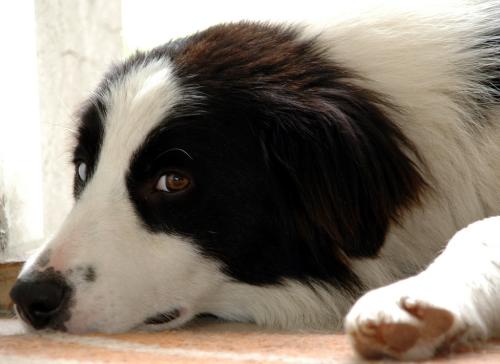 8063509 eddf7822af4aa8e5ca68b4173a2b6d92 xl