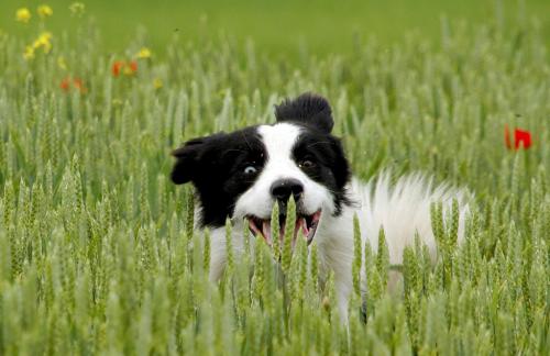 8063523 aa991f1d9bece3e8508a65812f816ad7 xl