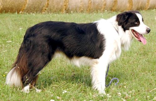 8756205 4b1941777fb66d029091991930c74163 l