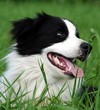 8756211 16fd204c1a415b617ab70dba01953e2f m