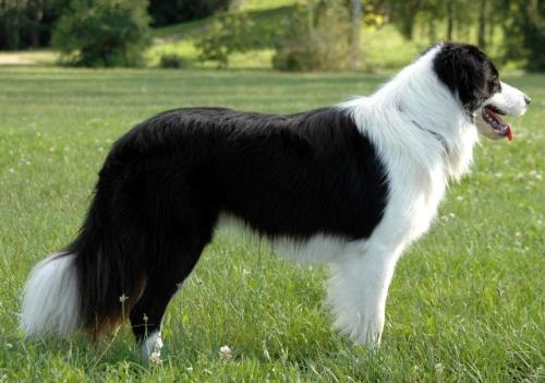 8896303 b1d714b263c10e1030778aa7ed219ab3 l