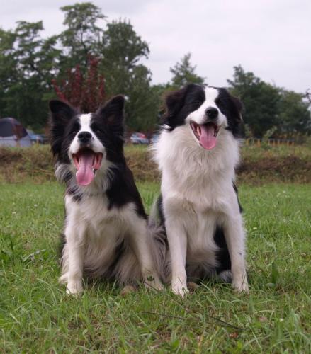 9682299 916359718bcc356828e1150c42e25a8a l