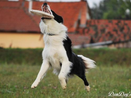 9682303 7f27728791507dfb54d0f3d72d86578d l