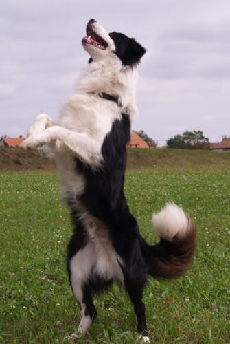 9682311 792dbcec3f5c46c0308f10851a0bb864 l