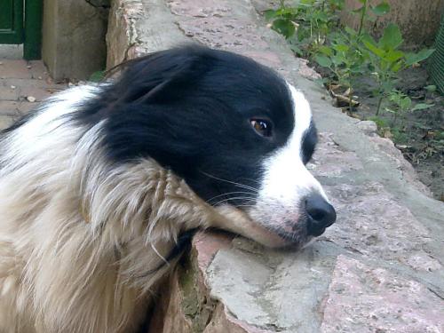 12415777 5c6f6f6bca0b1b1f153b029fdb3de330 xl