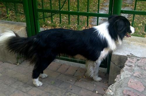 12415779 f417104dba0fb798468e21186b345944 xl