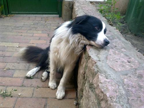 12415781 6203c5865ce94afa0c3108636c98d2cc xl